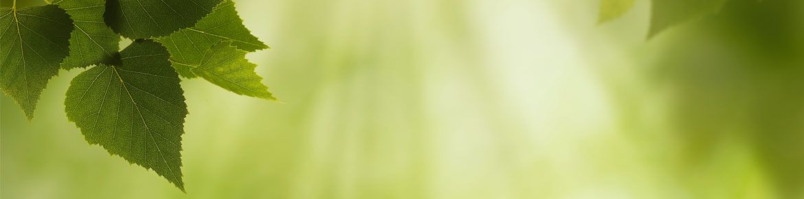 exsim-banner01
