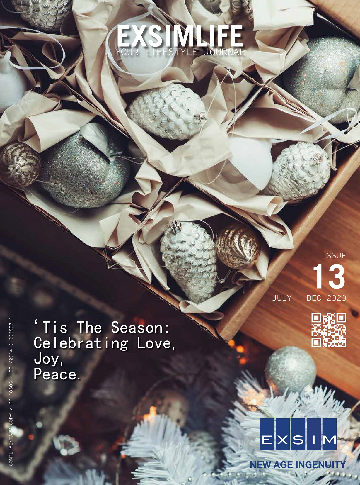 EXSIMLIFE VOL 13